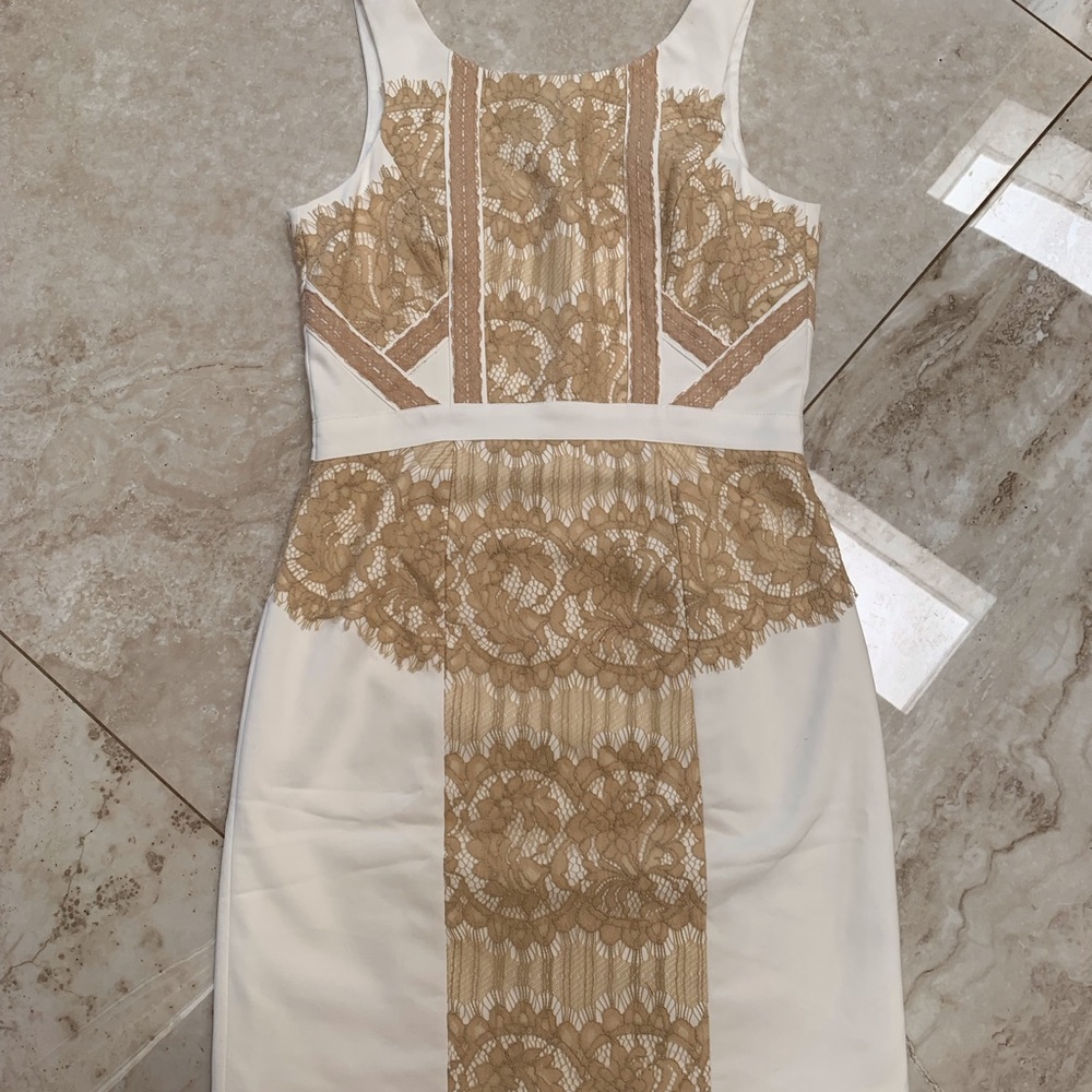 Gorgeous Gianni Bini dress.
